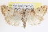  ( - CCDB-17964-E05)  @14 [ ] CreativeCommons - Attribution (2014) CBG Photography Group Centre for Biodiversity Genomics
