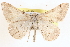  ( - CCDB-17964-F02)  @14 [ ] CreativeCommons - Attribution (2014) CBG Photography Group Centre for Biodiversity Genomics