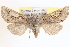  ( - CCDB-17964-G05)  @14 [ ] CreativeCommons - Attribution (2014) CBG Photography Group Centre for Biodiversity Genomics