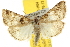  ( - BIOUG07173-H04)  @14 [ ] CreativeCommons - Attribution (2012) CBG Photography Group Centre for Biodiversity Genomics