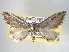  ( - BIOUG06016-C04)  @13 [ ] CreativeCommons - Attribution (2013) CBG Photography Group Centre for Biodiversity Genomics