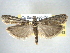  ( - BIOUG06016-D06)  @14 [ ] CreativeCommons - Attribution (2013) CBG Photography Group Centre for Biodiversity Genomics