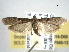  ( - BIOUG06016-D09)  @14 [ ] CreativeCommons - Attribution (2013) CBG Photography Group Centre for Biodiversity Genomics