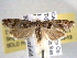  ( - BIOUG06016-G11)  @13 [ ] CreativeCommons - Attribution (2013) CBG Photography Group Centre for Biodiversity Genomics