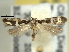  ( - BIOUG06174-B03)  @14 [ ] CreativeCommons - Attribution (2013) CBG Photography Group Centre for Biodiversity Genomics