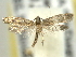  ( - BIOUG06174-D12)  @13 [ ] CreativeCommons - Attribution (2013) CBG Photography Group Centre for Biodiversity Genomics