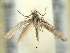  ( - BIOUG06174-E06)  @12 [ ] CreativeCommons - Attribution (2013) CBG Photography Group Centre for Biodiversity Genomics