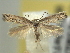  ( - BIOUG06174-F09)  @14 [ ] CreativeCommons - Attribution (2013) CBG Photography Group Centre for Biodiversity Genomics