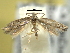  ( - BIOUG06174-F12)  @13 [ ] CreativeCommons - Attribution (2013) CBG Photography Group Centre for Biodiversity Genomics