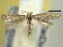  ( - BIOUG06174-G03)  @13 [ ] CreativeCommons - Attribution (2013) CBG Photography Group Centre for Biodiversity Genomics