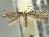  ( - BIOUG06174-G04)  @14 [ ] CreativeCommons - Attribution (2013) CBG Photography Group Centre for Biodiversity Genomics