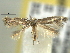  ( - BIOUG06174-G05)  @13 [ ] CreativeCommons - Attribution (2013) CBG Photography Group Centre for Biodiversity Genomics
