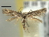  ( - BIOUG06174-G09)  @12 [ ] CreativeCommons - Attribution (2013) CBG Photography Group Centre for Biodiversity Genomics