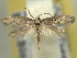 ( - BIOUG06174-G10)  @13 [ ] CreativeCommons - Attribution (2013) CBG Photography Group Centre for Biodiversity Genomics