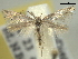  ( - BIOUG06174-G11)  @13 [ ] CreativeCommons - Attribution (2013) CBG Photography Group Centre for Biodiversity Genomics