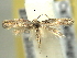  ( - BIOUG06174-H09)  @13 [ ] CreativeCommons - Attribution (2013) CBG Photography Group Centre for Biodiversity Genomics