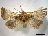  ( - BIOUG06175-B07)  @13 [ ] CreativeCommons - Attribution (2013) CBG Photography Group Centre for Biodiversity Genomics