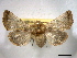  ( - BIOUG06175-B08)  @14 [ ] CreativeCommons - Attribution (2013) CBG Photography Group Centre for Biodiversity Genomics