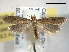  ( - BIOUG06175-E04)  @13 [ ] CreativeCommons - Attribution (2013) CBG Photography Group Centre for Biodiversity Genomics