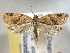  ( - BIOUG06177-A02)  @14 [ ] CreativeCommons - Attribution (2013) CBG Photography Group Centre for Biodiversity Genomics