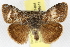  ( - BIOUG06177-B04)  @14 [ ] CreativeCommons - Attribution (2013) CBG Photography Group Centre for Biodiversity Genomics