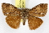  ( - BIOUG06177-D06)  @14 [ ] CreativeCommons - Attribution (2013) CBG Photography Group Centre for Biodiversity Genomics