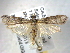  ( - BIOUG06177-E03)  @14 [ ] CreativeCommons - Attribution (2013) CBG Photography Group Centre for Biodiversity Genomics