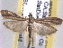  ( - BIOUG06178-A05)  @14 [ ] CreativeCommons - Attribution (2013) CBG Photography Group Centre for Biodiversity Genomics