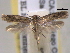  ( - BIOUG06178-A10)  @12 [ ] CreativeCommons - Attribution (2013) CBG Photography Group Centre for Biodiversity Genomics