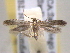  ( - BIOUG06178-B01)  @12 [ ] CreativeCommons - Attribution (2013) CBG Photography Group Centre for Biodiversity Genomics