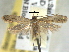  ( - BIOUG06178-D10)  @12 [ ] CreativeCommons - Attribution (2013) CBG Photography Group Centre for Biodiversity Genomics