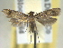  ( - BIOUG06178-E05)  @14 [ ] CreativeCommons - Attribution (2013) CBG Photography Group Centre for Biodiversity Genomics