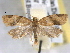  ( - BIOUG06178-G07)  @14 [ ] CreativeCommons - Attribution (2013) CBG Photography Group Centre for Biodiversity Genomics