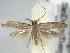  ( - BIOUG06178-H04)  @13 [ ] CreativeCommons - Attribution (2013) CBG Photography Group Centre for Biodiversity Genomics