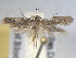  ( - BIOUG06178-H05)  @12 [ ] CreativeCommons - Attribution (2013) CBG Photography Group Centre for Biodiversity Genomics