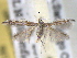  (Coleophora JFL166 - BIOUG06178-H06)  @14 [ ] CreativeCommons - Attribution (2013) CBG Photography Group Centre for Biodiversity Genomics