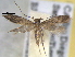  ( - BIOUG06178-H09)  @13 [ ] CreativeCommons - Attribution (2013) CBG Photography Group Centre for Biodiversity Genomics
