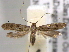  ( - BIOUG06257-A01)  @14 [ ] CreativeCommons - Attribution (2013) CBG Photography Group Centre for Biodiversity Genomics