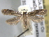  ( - BIOUG06257-C11)  @13 [ ] CreativeCommons - Attribution (2013) CBG Photography Group Centre for Biodiversity Genomics