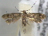  ( - BIOUG06257-D05)  @14 [ ] CreativeCommons - Attribution (2013) CBG Photography Group Centre for Biodiversity Genomics