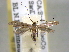  ( - BIOUG06257-E02)  @13 [ ] CreativeCommons - Attribution (2013) CBG Photography Group Centre for Biodiversity Genomics
