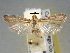  ( - BIOUG06257-H08)  @12 [ ] CreativeCommons - Attribution (2013) CBG Photography Group Centre for Biodiversity Genomics