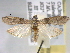  ( - BIOUG06258-G12)  @14 [ ] CreativeCommons - Attribution (2013) CBG Photography Group Centre for Biodiversity Genomics