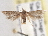  ( - BIOUG09820-D06)  @14 [ ] CreativeCommons - Attribution (2014) CBG Photography Group Centre for Biodiversity Genomics