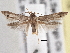  ( - BIOUG09820-E07)  @15 [ ] CreativeCommons - Attribution (2014) CBG Photography Group Centre for Biodiversity Genomics