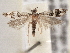 ( - BIOUG09820-F04)  @13 [ ] CreativeCommons - Attribution (2014) CBG Photography Group Centre for Biodiversity Genomics