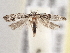  ( - BIOUG09820-F10)  @13 [ ] CreativeCommons - Attribution (2014) CBG Photography Group Centre for Biodiversity Genomics