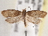  ( - BIOUG09820-H03)  @14 [ ] CreativeCommons - Attribution (2014) CBG Photography Group Centre for Biodiversity Genomics
