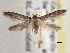  ( - BIOUG09820-H11)  @14 [ ] CreativeCommons - Attribution (2014) CBG Photography Group Centre for Biodiversity Genomics