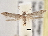  ( - BIOUG09821-A06)  @15 [ ] CreativeCommons - Attribution (2014) CBG Photography Group Centre for Biodiversity Genomics